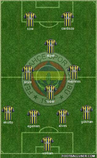 Fenerbahçe SK Formation 2013