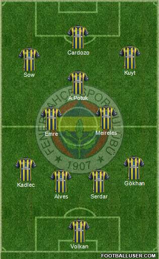 Fenerbahçe SK Formation 2013