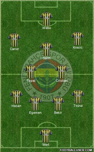 Fenerbahçe SK Formation 2013