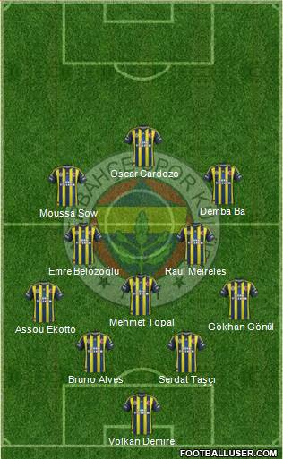 Fenerbahçe SK Formation 2013