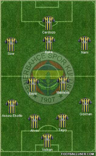 Fenerbahçe SK Formation 2013
