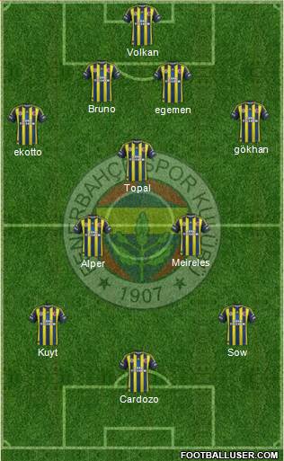 Fenerbahçe SK Formation 2013