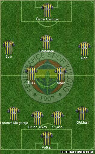 Fenerbahçe SK Formation 2013