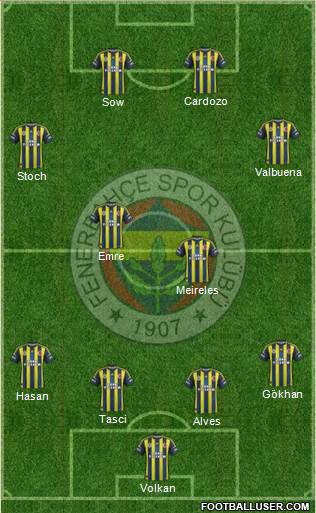 Fenerbahçe SK Formation 2013