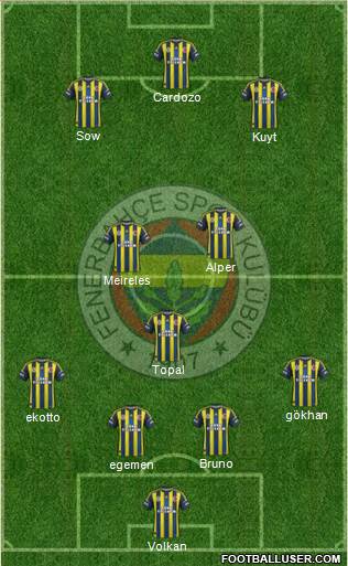 Fenerbahçe SK Formation 2013