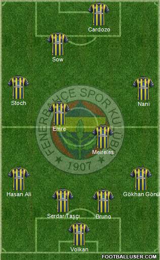 Fenerbahçe SK Formation 2013