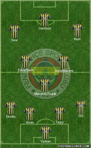 Fenerbahçe SK Formation 2013