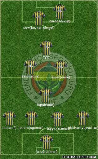 Fenerbahçe SK Formation 2013
