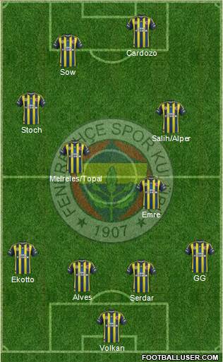 Fenerbahçe SK Formation 2013