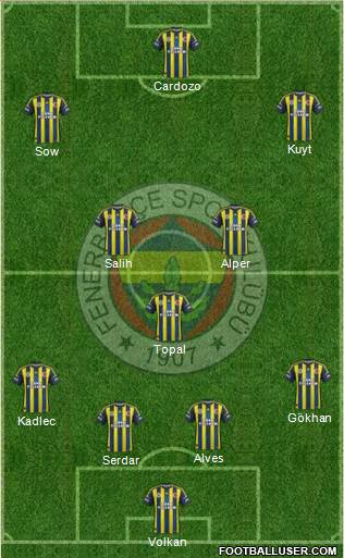 Fenerbahçe SK Formation 2013
