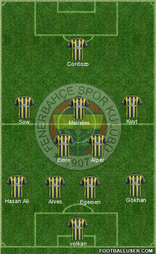 Fenerbahçe SK Formation 2013