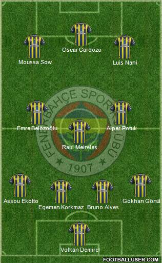 Fenerbahçe SK Formation 2013