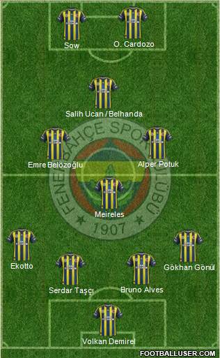 Fenerbahçe SK Formation 2013