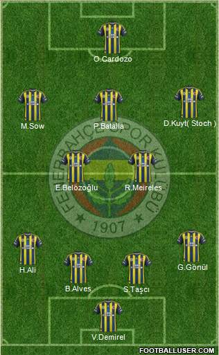 Fenerbahçe SK Formation 2013