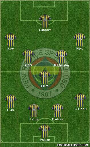 Fenerbahçe SK Formation 2013