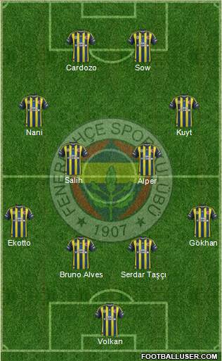Fenerbahçe SK Formation 2013