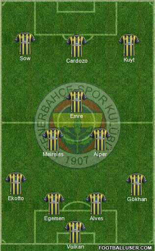 Fenerbahçe SK Formation 2013