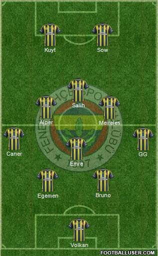 Fenerbahçe SK Formation 2013