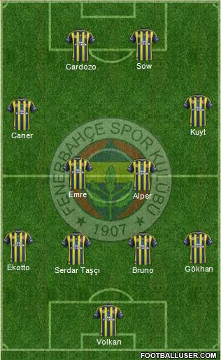 Fenerbahçe SK Formation 2013