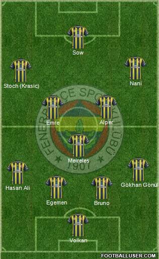 Fenerbahçe SK Formation 2013