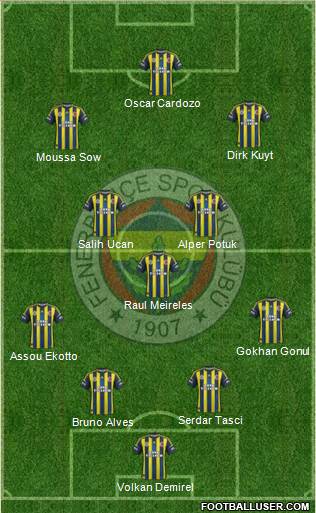 Fenerbahçe SK Formation 2013
