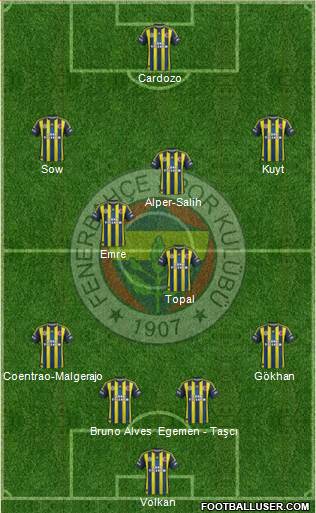 Fenerbahçe SK Formation 2013