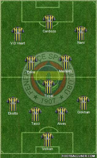 Fenerbahçe SK Formation 2013