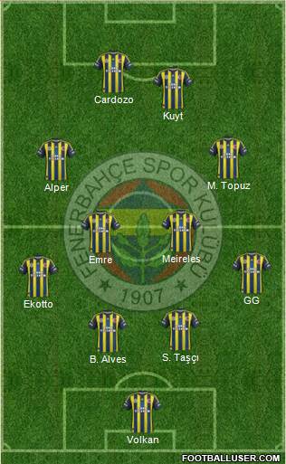 Fenerbahçe SK Formation 2013