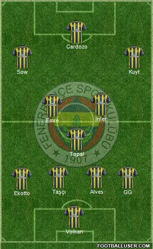 Fenerbahçe SK Formation 2013