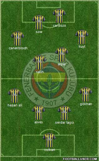 Fenerbahçe SK Formation 2013