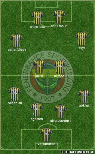 Fenerbahçe SK Formation 2013