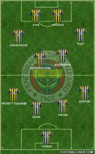 Fenerbahçe SK Formation 2013