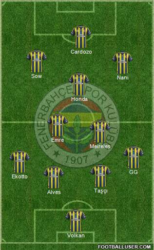 Fenerbahçe SK Formation 2013