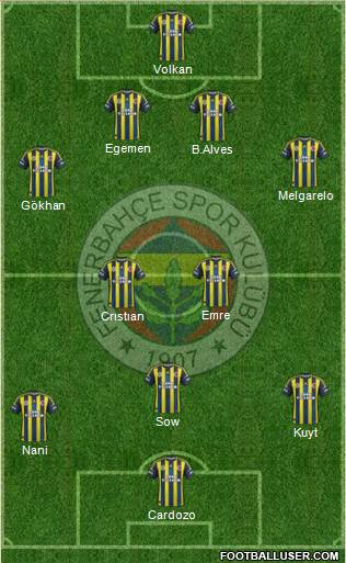 Fenerbahçe SK Formation 2013