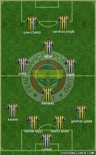 Fenerbahçe SK Formation 2013