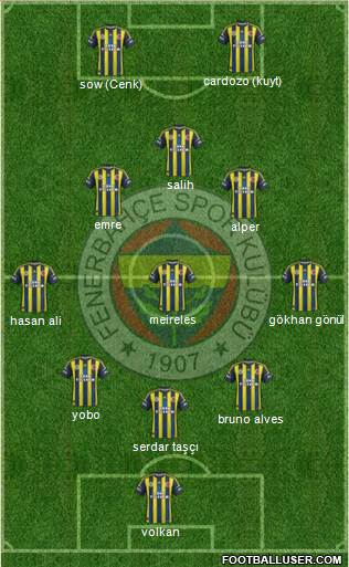 Fenerbahçe SK Formation 2013