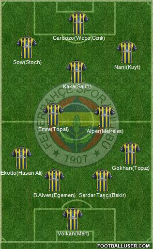 Fenerbahçe SK Formation 2013