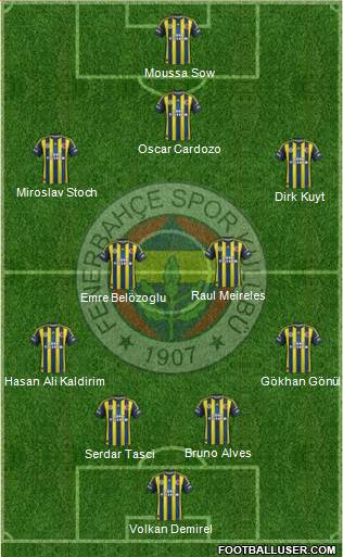 Fenerbahçe SK Formation 2013