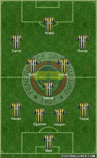 Fenerbahçe SK Formation 2013