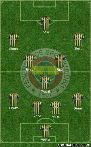 Fenerbahçe SK Formation 2013