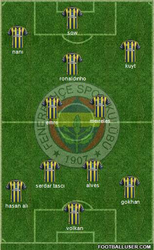 Fenerbahçe SK Formation 2013