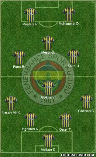 Fenerbahçe SK Formation 2013