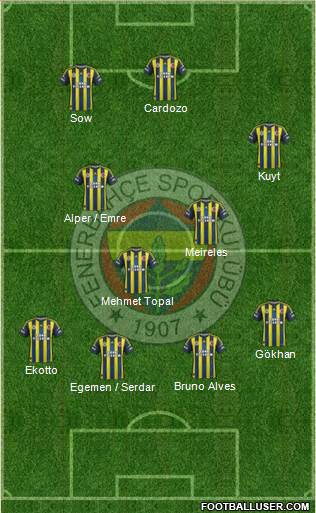 Fenerbahçe SK Formation 2013