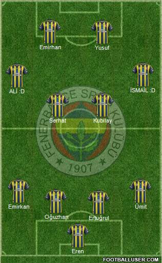 Fenerbahçe SK Formation 2013