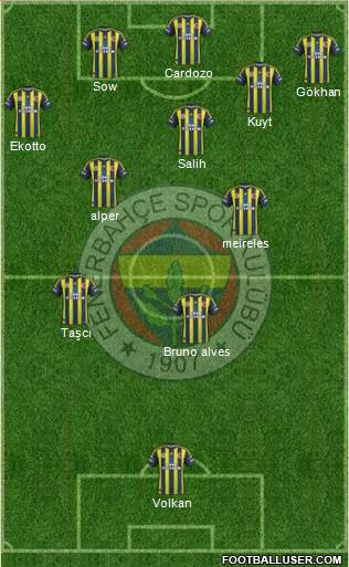 Fenerbahçe SK Formation 2013