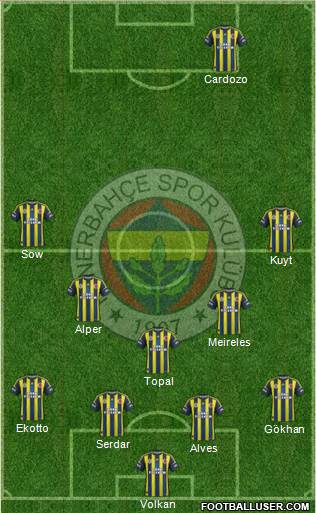 Fenerbahçe SK Formation 2013
