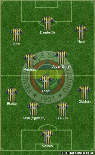 Fenerbahçe SK Formation 2013