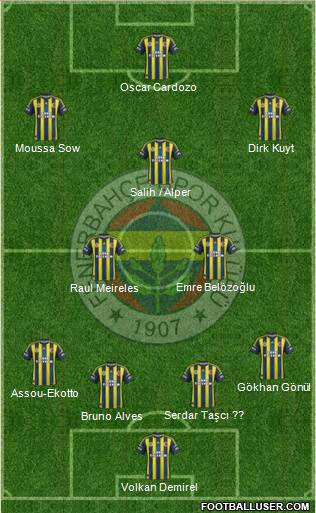 Fenerbahçe SK Formation 2013
