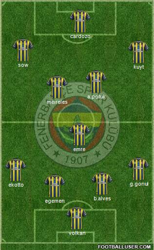 Fenerbahçe SK Formation 2013