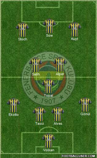 Fenerbahçe SK Formation 2013